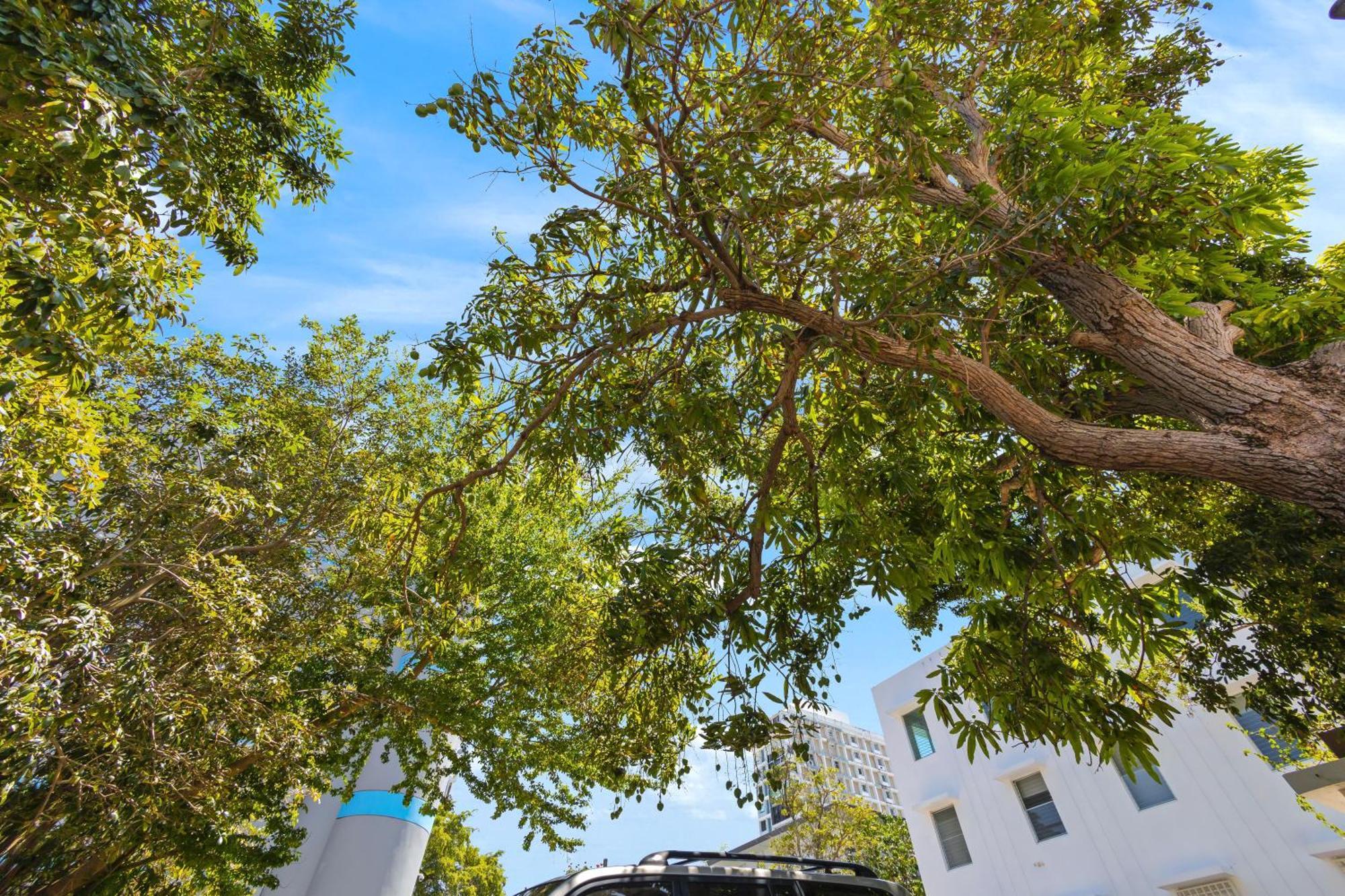 Hidden Gem In Miramar- Power Generator- Parking Apartment San Juan Exterior photo