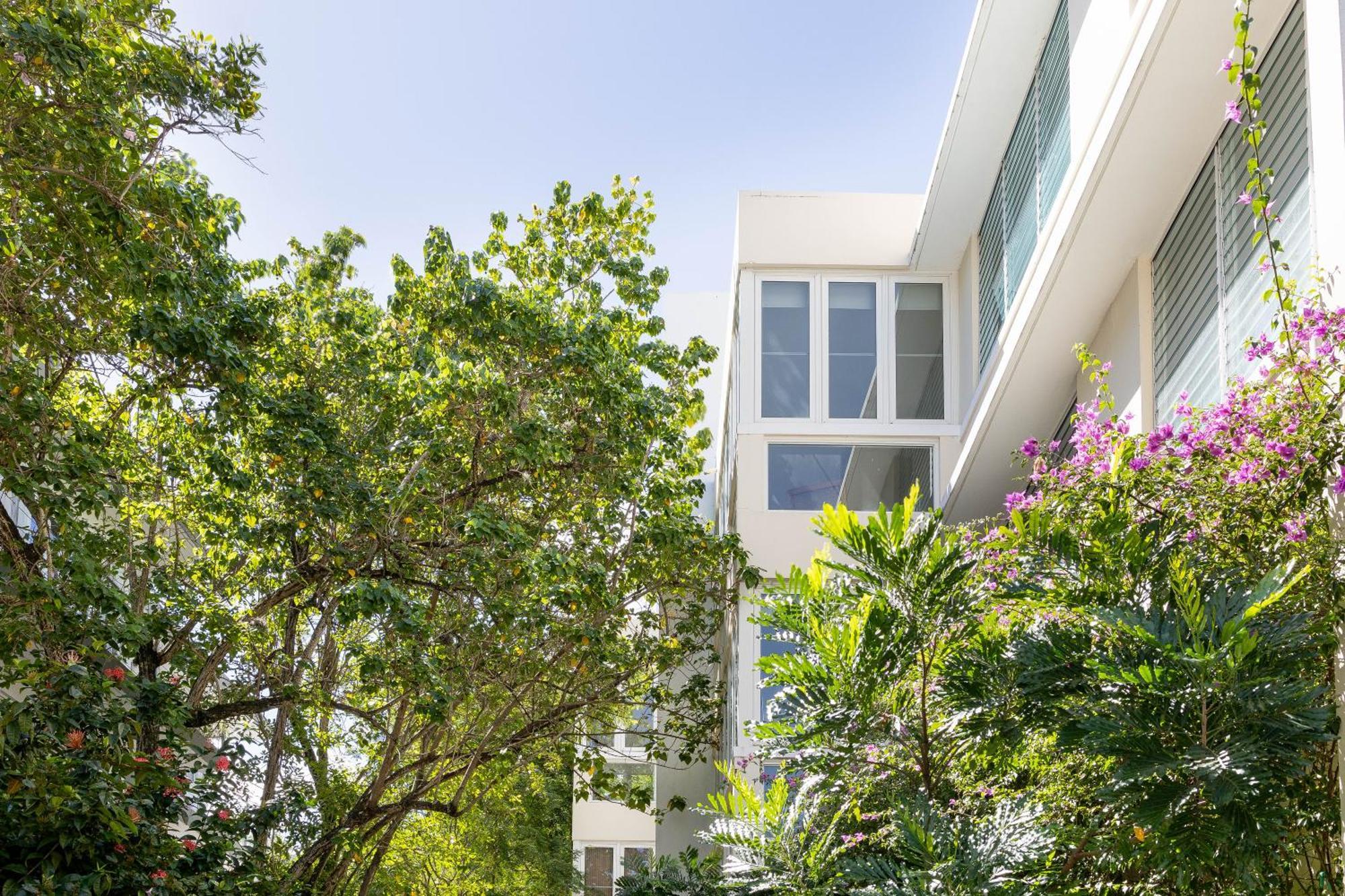 Hidden Gem In Miramar- Power Generator- Parking Apartment San Juan Exterior photo